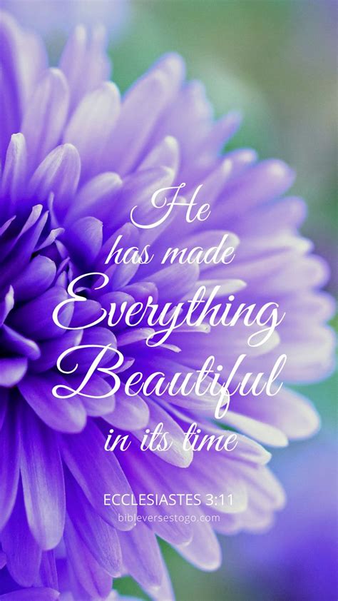 Purple Bloom Ecclesiastes 3:11 in 2020 | Ecclesiastes, Encouraging bible quotes, Bible verse ...