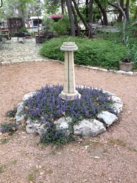 Deer Resistant Plants for Central Texas - Backbone Valley Nursery