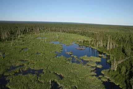 Which National Park Is Home to the World's Largest Beaver Dam ...