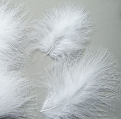 MARABOU FEATHERS: WHITE .25 OZ - Creative Kids