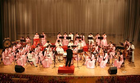 Traditional Chinese Folk Music Concert - Music