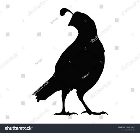 Quail Silhouette: Over 632 Royalty-Free Licensable Stock Vectors & Vector Art | Shutterstock