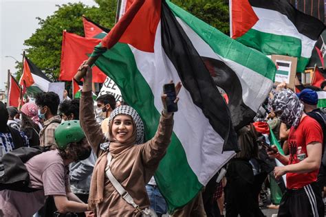 In Pictures: Palestinian solidarity rallies around the world | Israel ...