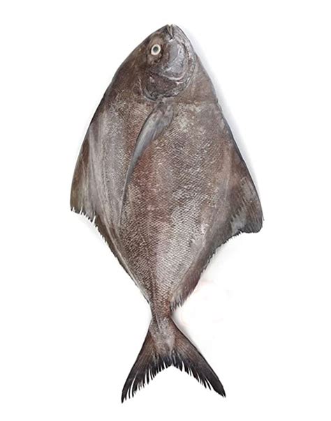 Kala Paplet - Black Pomfret in Karachi, Pakistan - Boneless & Slices