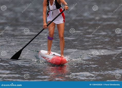 Stand Up Paddle Board Woman Paddle Boarding Stock Photo - Image of lifestyle, health: 158442828