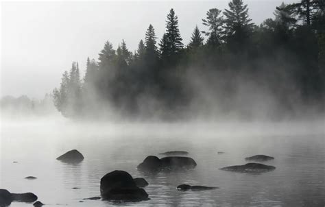 Wallpaper Fog, Lake, Forest, Morning, Nature, Landscape, Morning, Fog, Lake, Forest images for ...