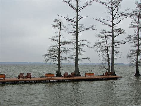 Reelfoot Lake and National Wildlife Refuge | 1/21/2112 | DiscipleDewd | Flickr