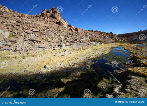 Oasis in the Atacama Desert Stock Image - Image of deserted, light: 21826499