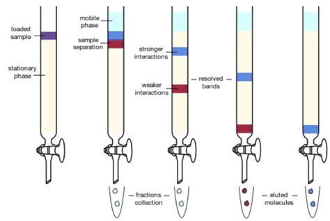 Chromatography Chemistry Ia at John Arocho blog