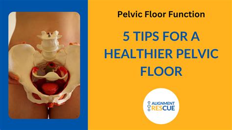 Maximising Pelvic Floor Function: Top Five Recommendations for a Happy ...