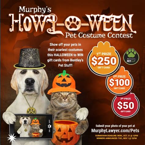 Murphy's Halloween Pet Costume Contest | Murphy Lawyer