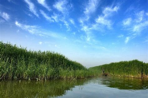 旅游线路--白洋淀一日游--白洋淀旅游网