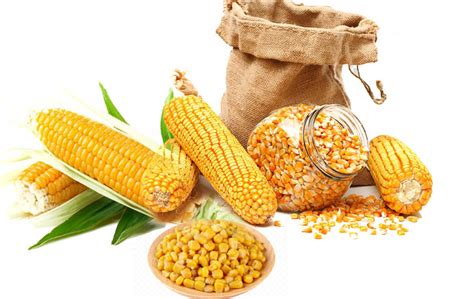 Maize – Worldwide Commtrade