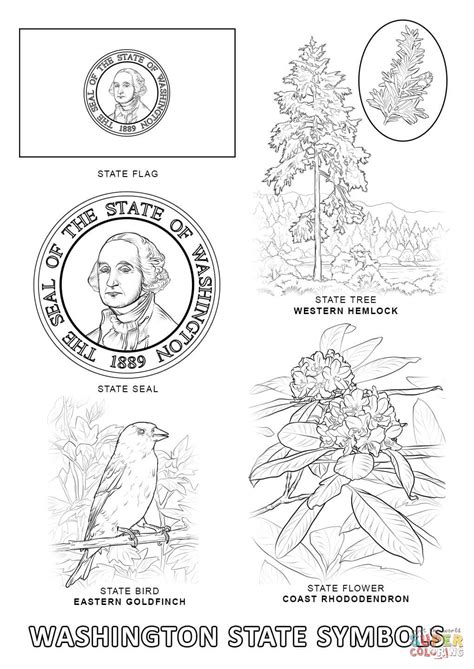 Florida State Bird Coloring Page - Https Encrypted Tbn0 Gstatic Com ...