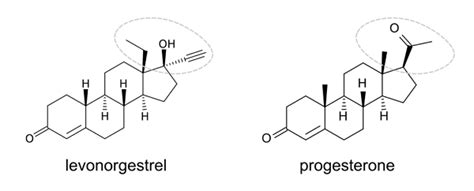 The Crucial Difference Between Progesterone and Progestins