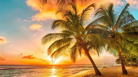 Tropical Sunset Palms Paradise Beach Sea Hd Wallpapers - Good Morning ...