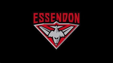 Essendon Football Club Wallpapers - Wallpaper Cave