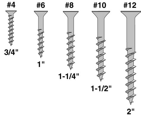 A guide to wood screw sizes | Wood screws, Screws and bolts, Screws