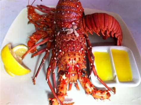 Spiny Lobsters Recipe | Kusina 101 | Lobster recipes, Spiny lobster ...