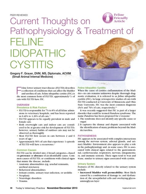 Thoughts on Feline Idiopathic Cystitis | Urinary Tract Infection | Clinical Medicine