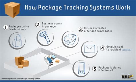 Package Tracking Software Options: How They Work and How to Find One