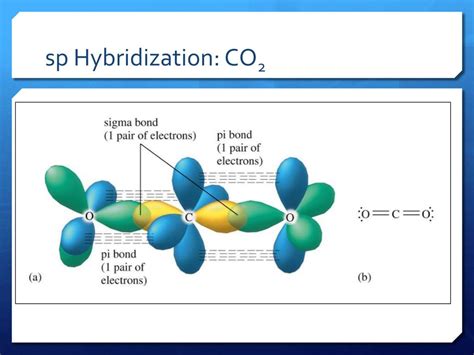 PPT - Covalent Bonding Orbitals Adapted from bobcatchemistry PowerPoint Presentation - ID:5584968