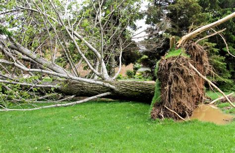 Over 100k still without power in Illinois following Monday’s ‘Hurricane ...