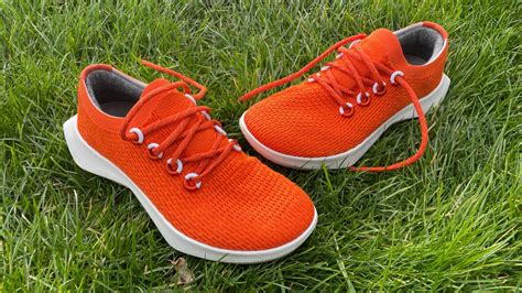 Allbirds Tree Dasher 2 Review | Coach