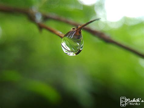 LANDSCAPE AND MACRO - Landscape and Nature Photography on Fstoppers