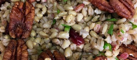 Pearl Barley Salad with Cranberries, Apples & Pecans Blythes Blog