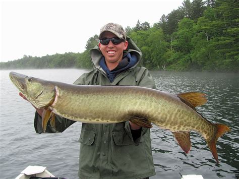 Best Bets For Wisconsin Muskie Fishing - Game & Fish/Sportsman