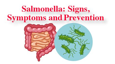 Salmonella: Signs, Symptoms & Prevention - WomenWorking