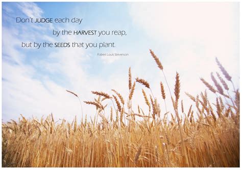 Harvest Quotes. QuotesGram