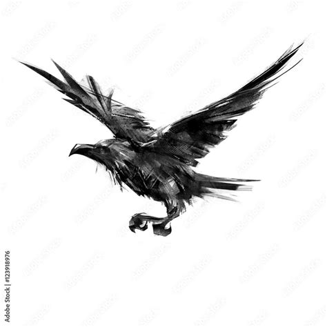 drawing black crow flying on a white background Stock Illustration ...