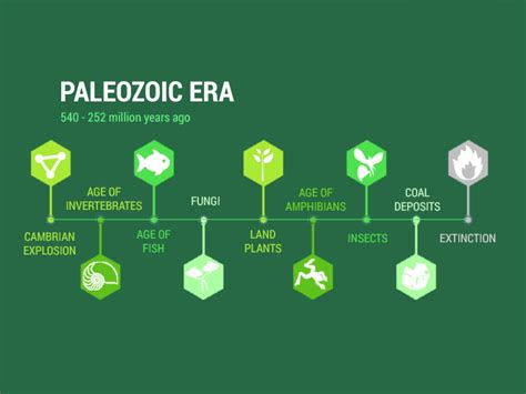 Paleozoic Era: Diversification of Life (540 to 252 million years ago ...