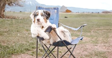 Buying Guide: 5 Best Chairs For Backpacking | 2024