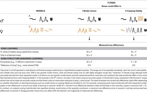 Frontiers | Understanding Sex Differences in Form and Function of Bird Song: The Importance of ...