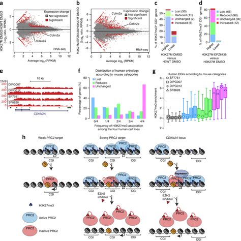 H3K27M and EZH2 inhibition leads to significant gene-expression ...