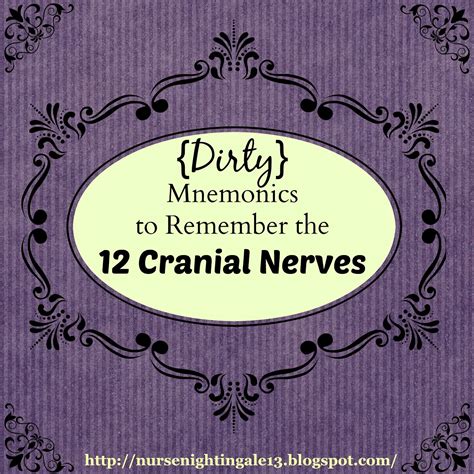 Nurse Health Guides : {Dirty} Mnemonics to Remember the 12 Cranial Nerves