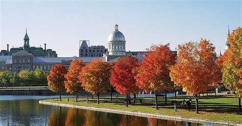 Map of Montreal Attractions | Tripomatic