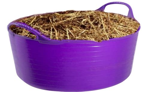 Download Feed Sso Horse Bucket - Hay - ClipartKey