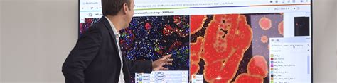 Using AI and Multiplex Biomarker Analysis for Deeper Insights into the Tumor Microenvironment ...