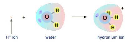 In the H3O+ hydronium ion, it is said the positive charge resides on ...