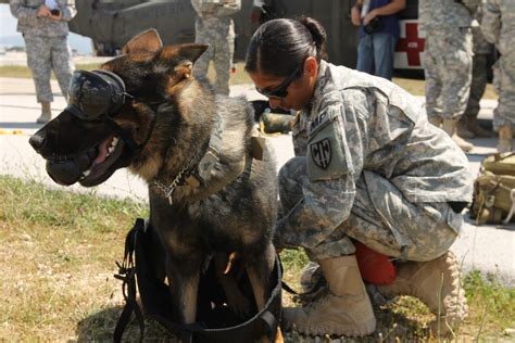 Aviators perform medevac training, military working dogs climb to new ...