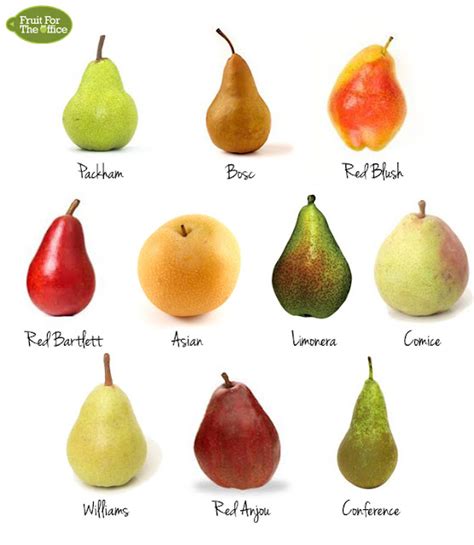 Fruit For The Office: 10 Types Of Pears