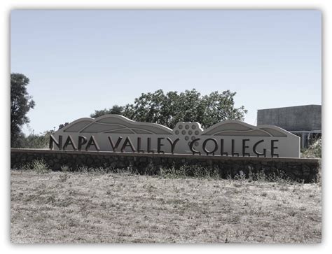 ROSSI SWIM TEAM: Napa Valley College | June 15-16, 2013