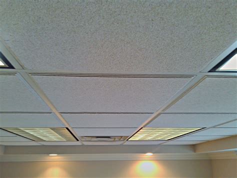 Acoustical Ceilings – Bock Construction