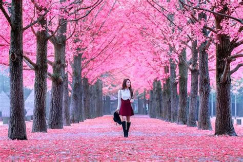 Free Photo | Beautiful Girl with Pink Leaves in Nami Island, South Korea