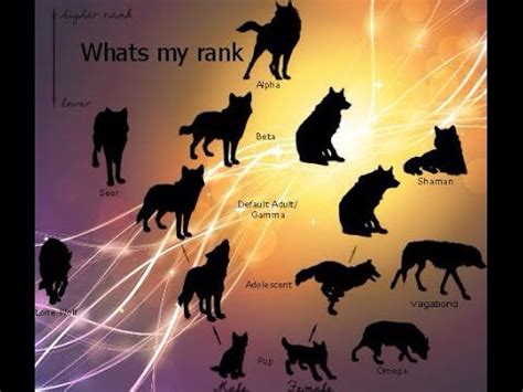 the silhouettes of dogs and their names are shown in this graphic art workbook