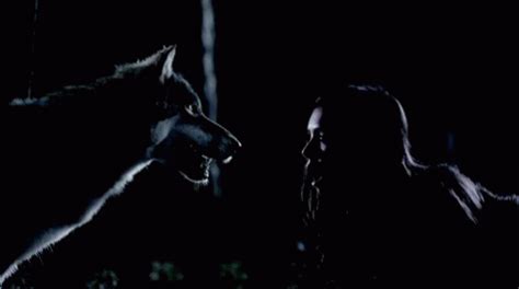 Wolf Growl GIF - Wolf Growl - Discover & Share GIFs